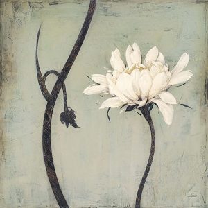 Ivory Blossom
